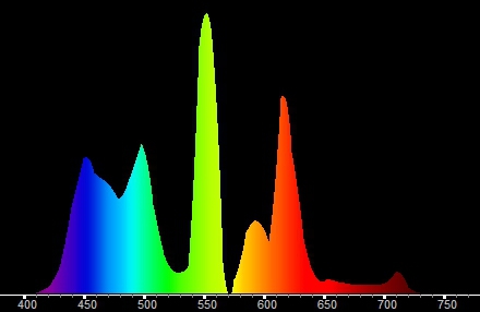 EX505 Spectral Scan W