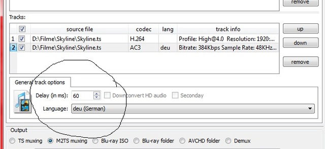 tsMuxeR Delay korrigieren