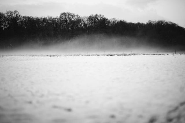 10862584 578340248975955 2847987543933276149 O