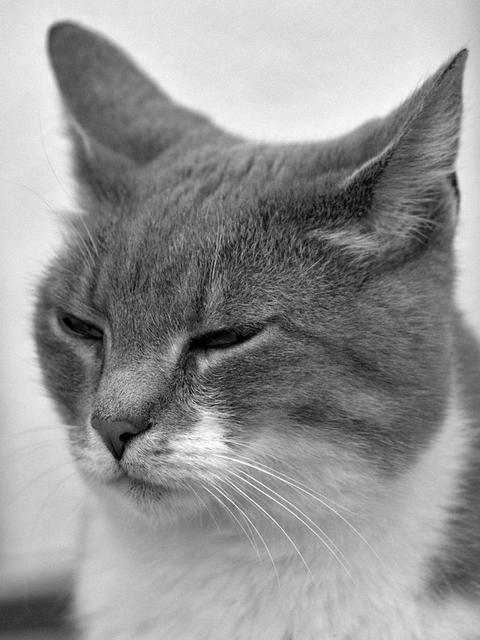 478158 171672532976064 1070909528 O