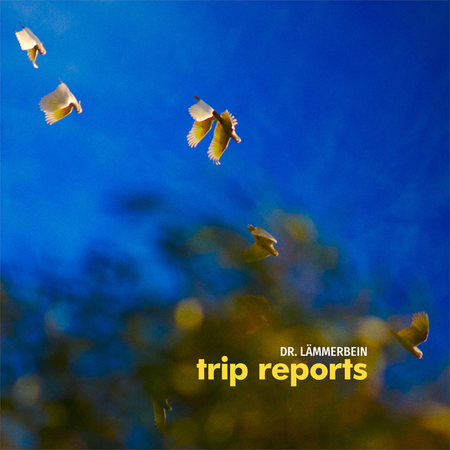 Trip Reports