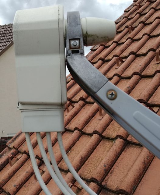 Lnb1