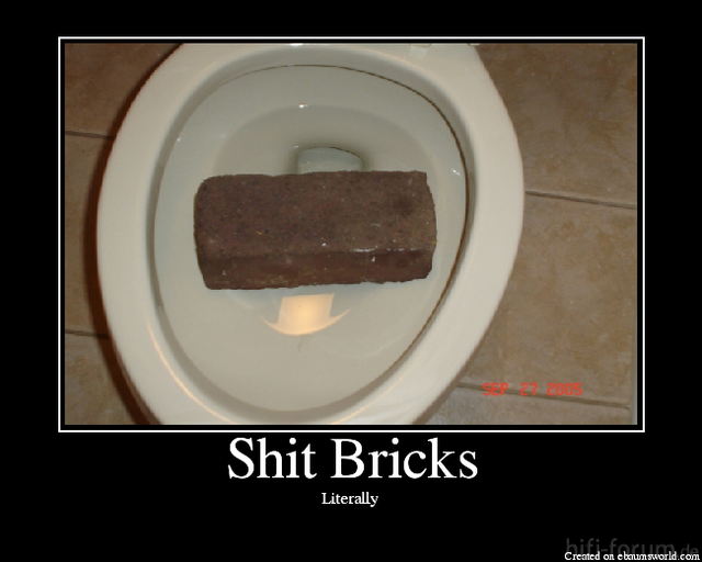 ShitBricks