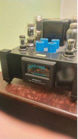 MingDa MC300845 Röhren Mono Endstufen