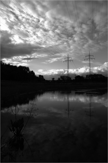 blackwhite1