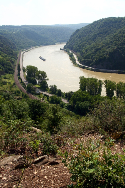 loreley