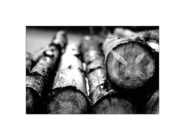 wood