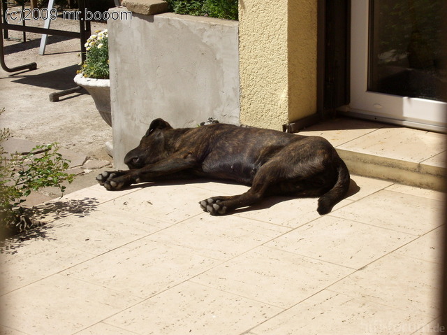 Reserveradmuldenausbau Ibiza 6L - Herstellung Basisplatte 27