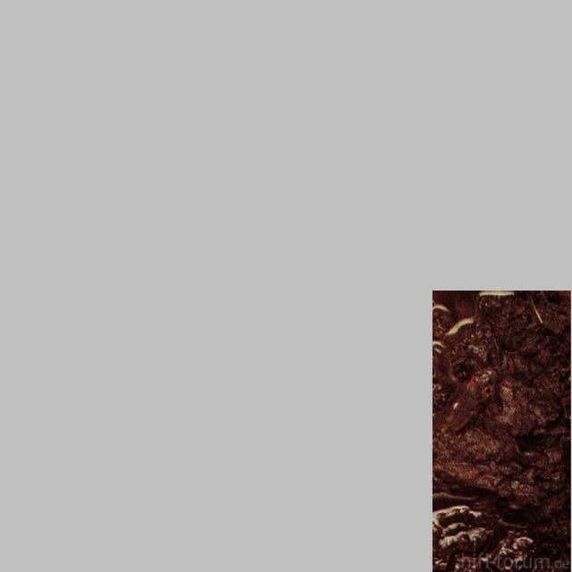 1.1