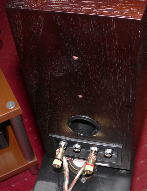 Tannoy Revolution DC 4 Rückansicht