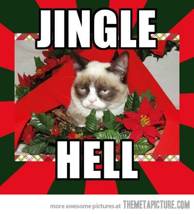 Grumpy Cat Christmas 9