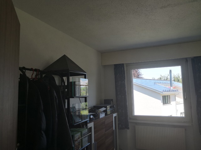 2 Fenster Neben Dem Sofa 