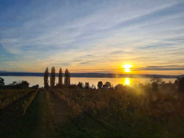 bodensee