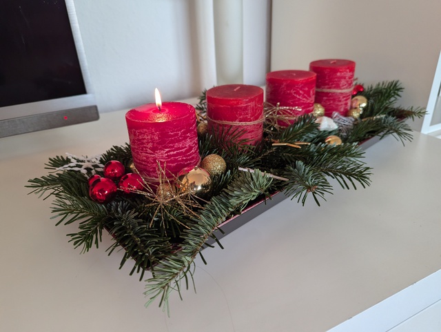 PXL 20241201 073124716