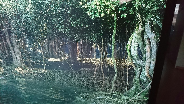 DSC 0167