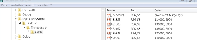 Regedit TV-Karteneintrag