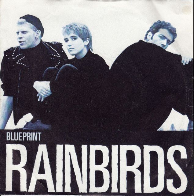 Rainbirds Blueprint S