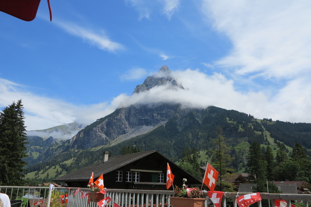 Img 0361 604369