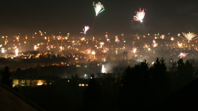 DSC01231