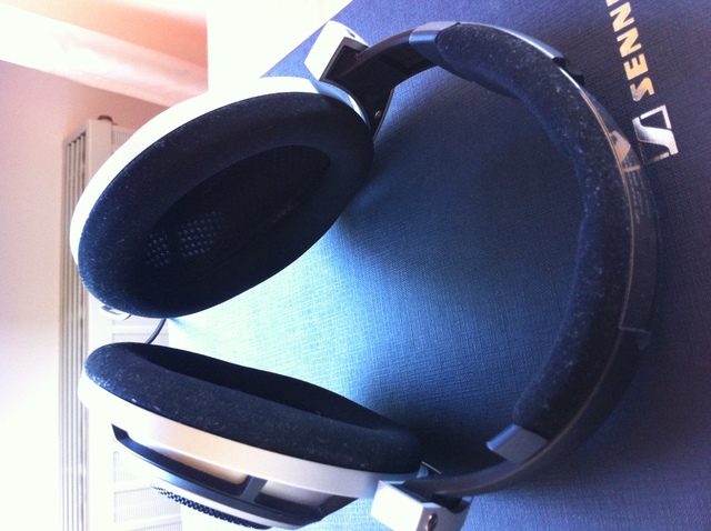 HD800