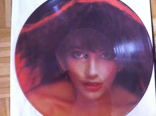 Kate Bush   Lionheart Seite 1