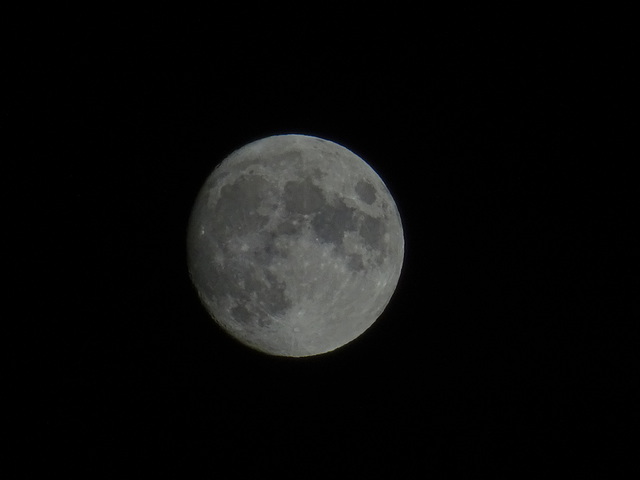 Moon