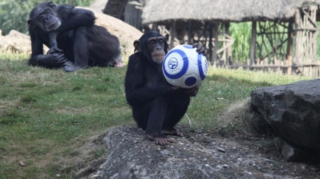 8829 130823 Zoom 658x370