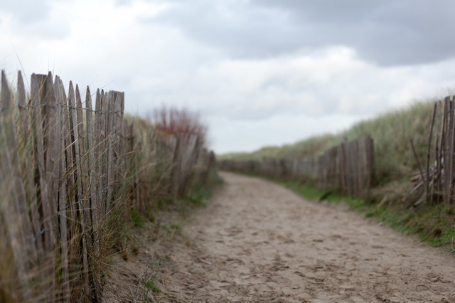 Blankenberge 62 Von 106