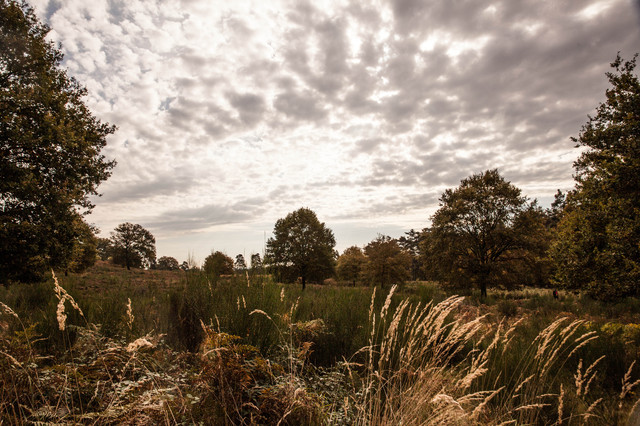 Landschaft (2)