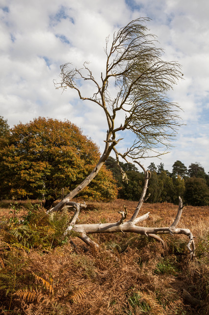 Landschaft (4)