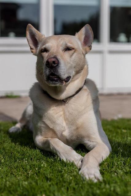 Sam Im Garten 1 Von 4