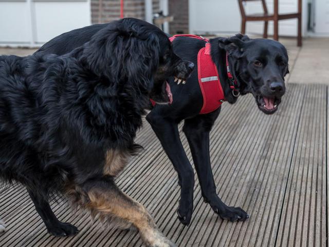 Spiel Und K Sschen 1 Von 6