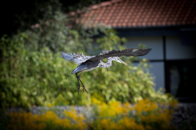 Tierpark Aachen (2 von 11)