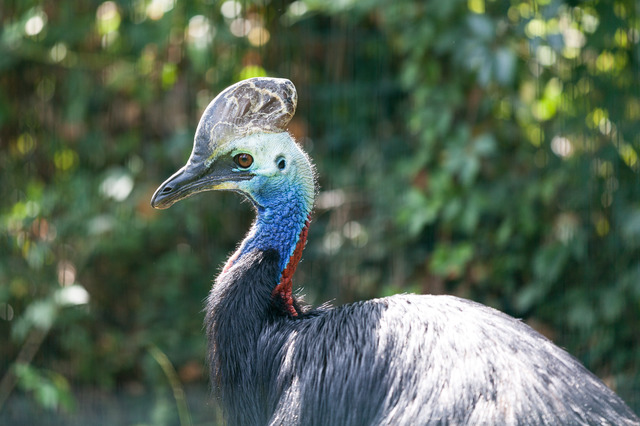 Tierpark Aachen (3 von 11)