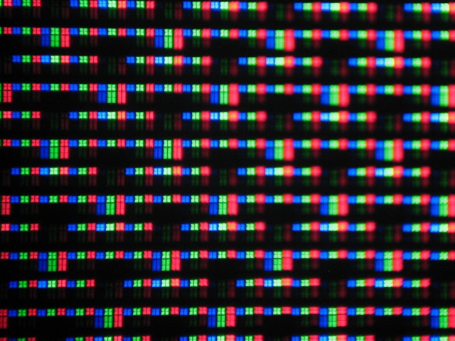 1-Pixel-Muster auf UHD, hochskaliert auf UHD