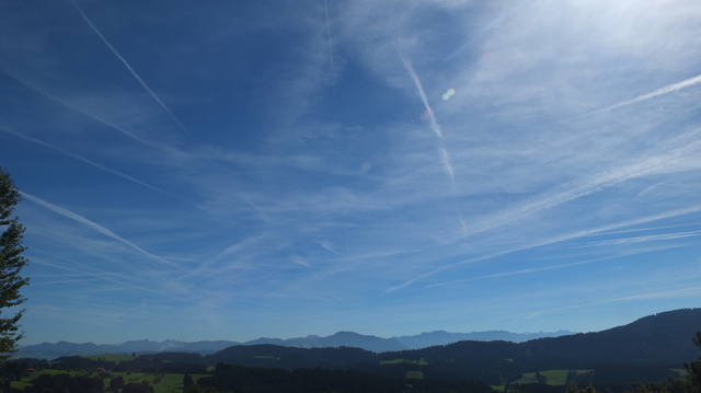 DSCF6117