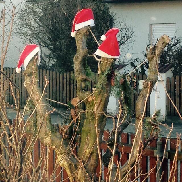 Frohe Weihnachten 