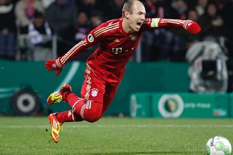 Schwalbe Robben