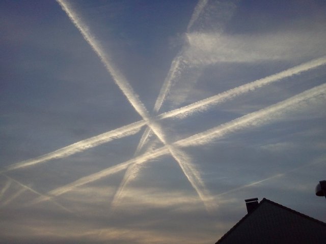 IMG20130422 001 800x600