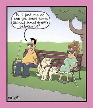 cartoons8