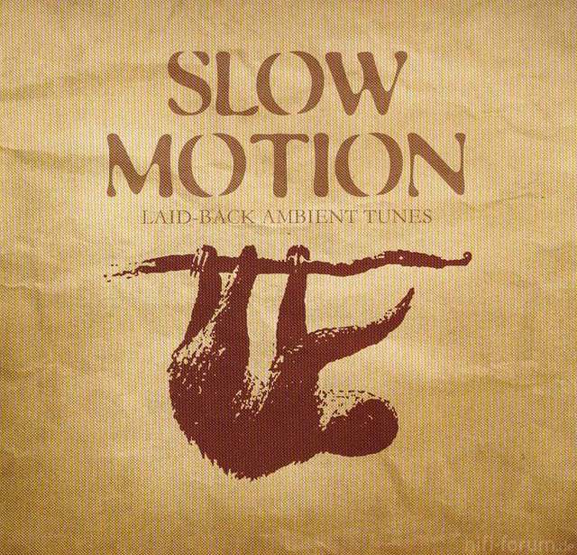 00 Va   Slow Motion 2008 (cover) Upe