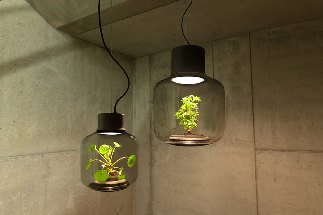 Plantlamp 09