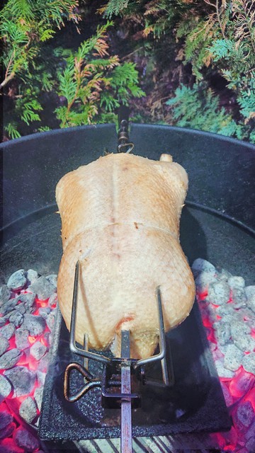 IMG 20210313 170352 HDR