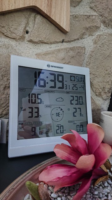 IMG 20210425 163932 HDR