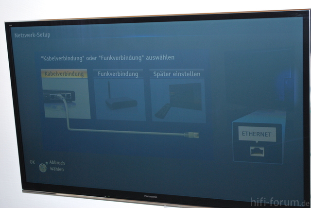 TX P55VT50E Setup Netzwerk