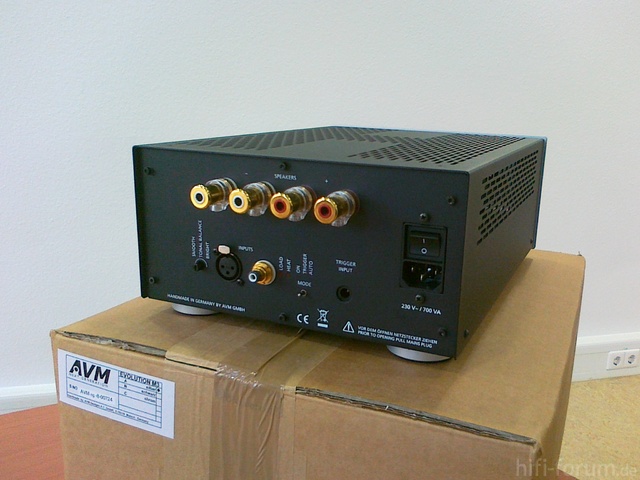 AVM 009