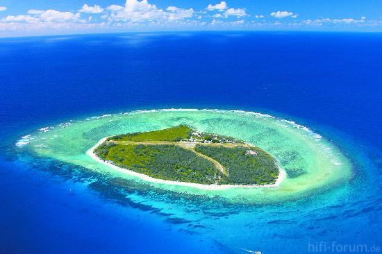 Lady Elliot Island Eco