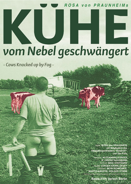 Kuehe Von Nebel Geschwaengert