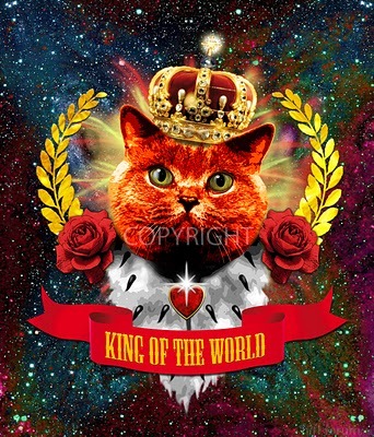Red Cat King Of The World Banner Copy