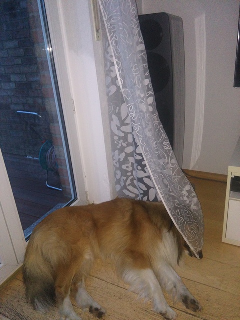 IMG 20150704 220333[1]